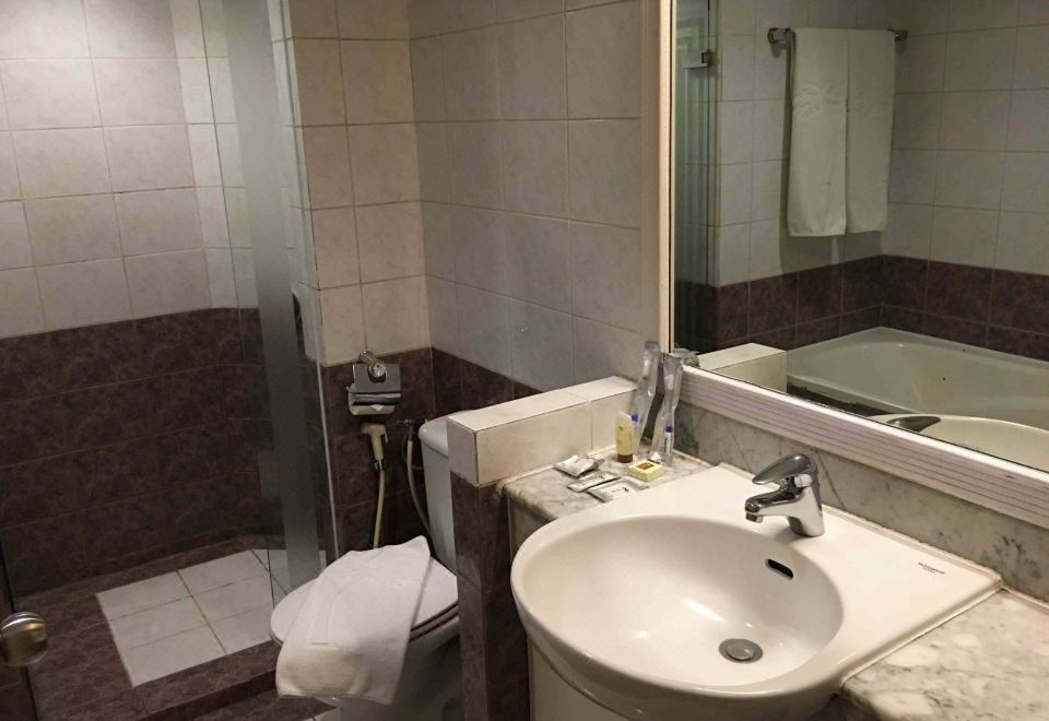 豪华房 - 29 平方米