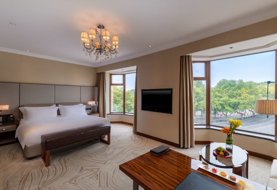 索菲特套房（一室開放式設計）