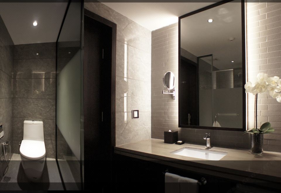 高级双人房（河景+智能马桶）