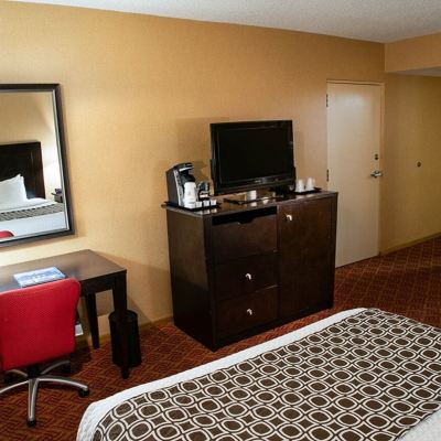 Premier Two Queen Room Alta Hotel Promo Code