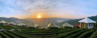 Yichang Xingshan Yanshang Tea Homestay