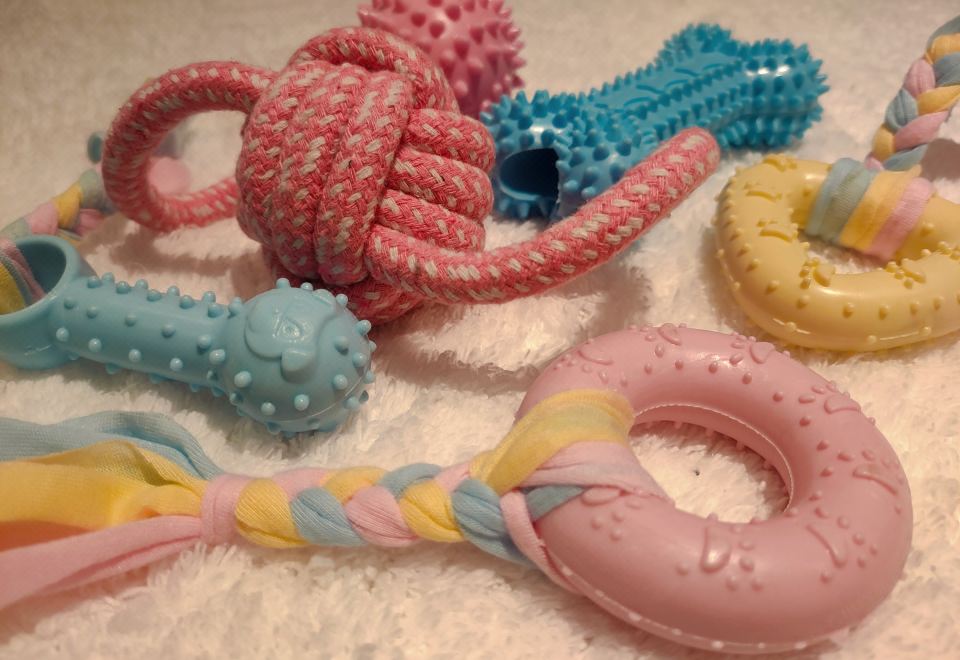 柏薇雙臥汪星社