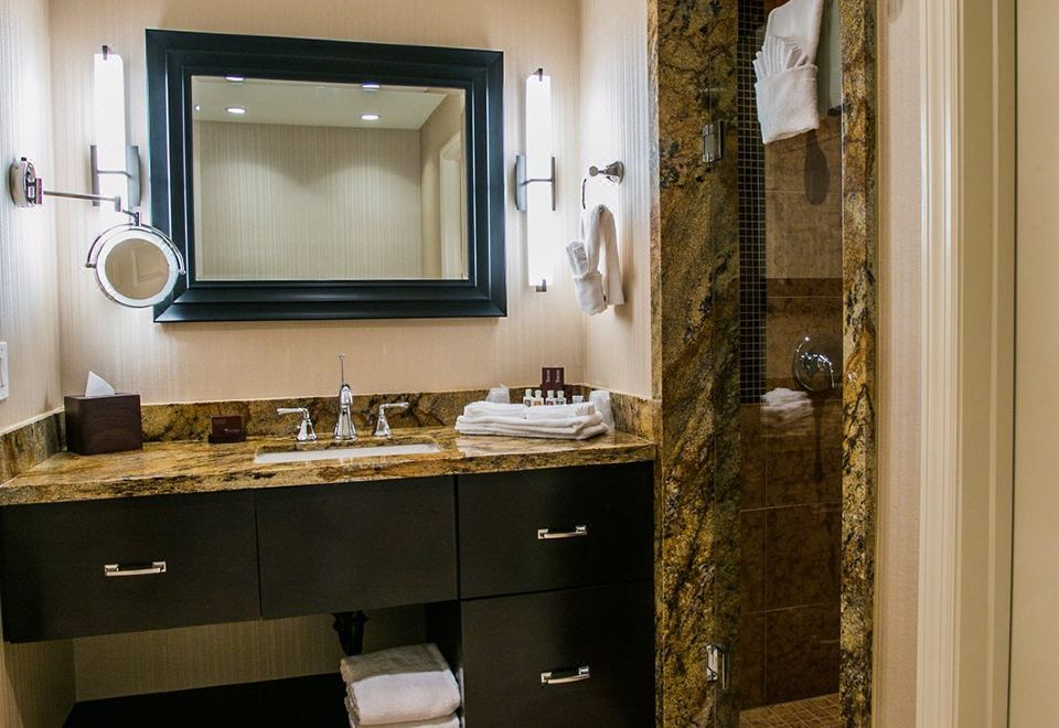 尊贵两卧室套房