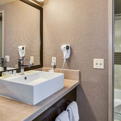 Deluxe King Room Plaza Hotel and Casino - Las Vegas Promo Code