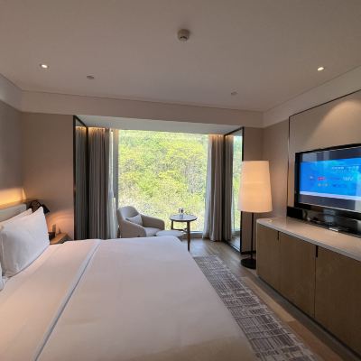 全景標準大床房 黃山復華麗朗度假村優惠