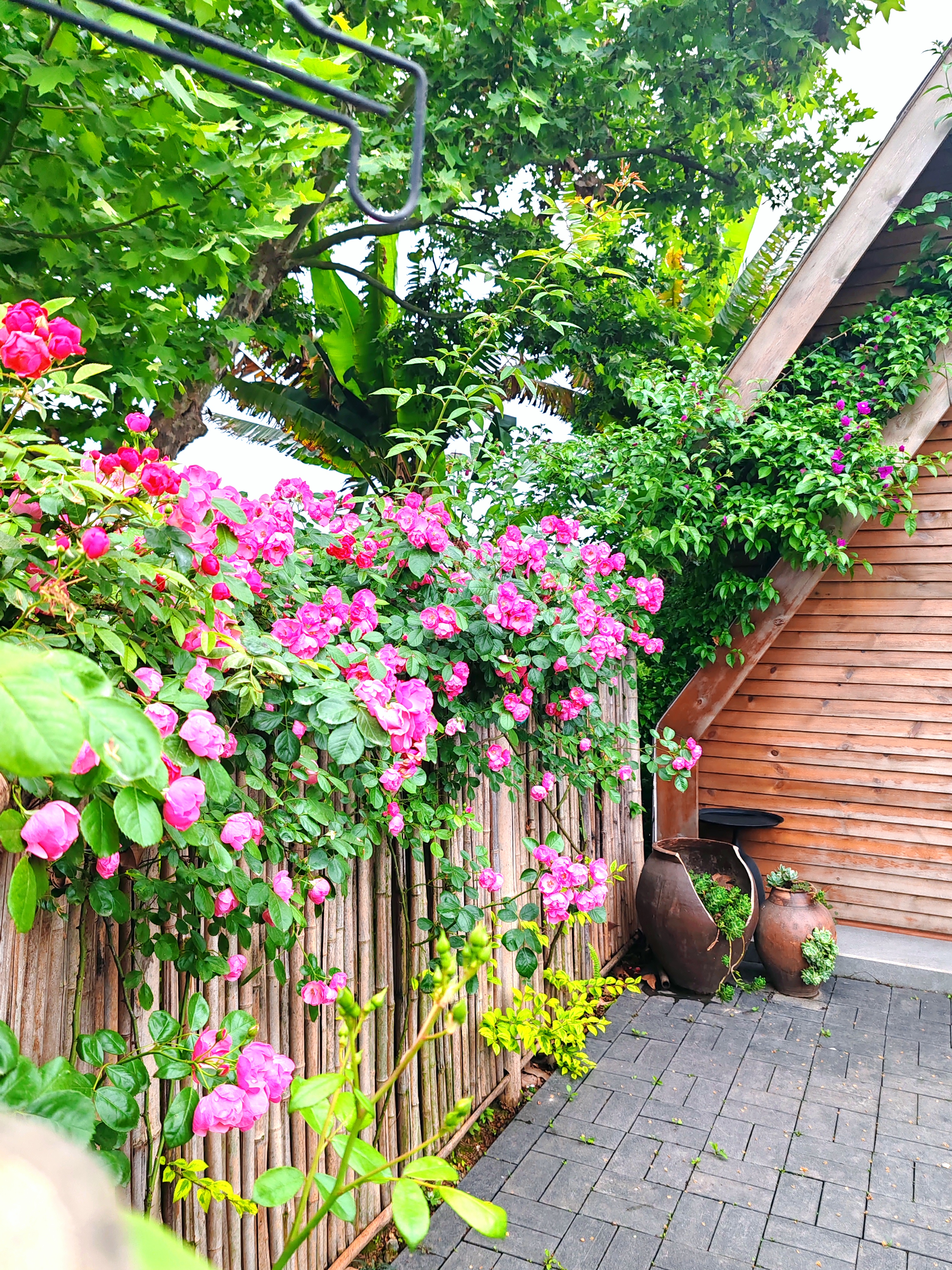 Yunfuli Yunsu Dayi Xihu Yundao云涧·360°湖景家庭私汤房「湖景阳台·湖景花园」