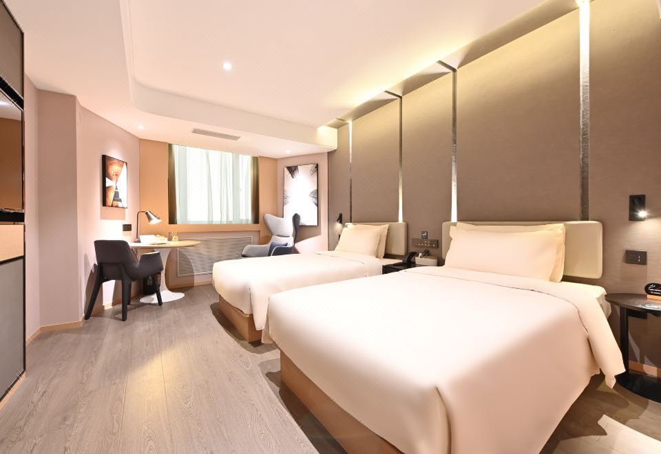 高级双床房（智能电视+手机投屏+小冰箱）