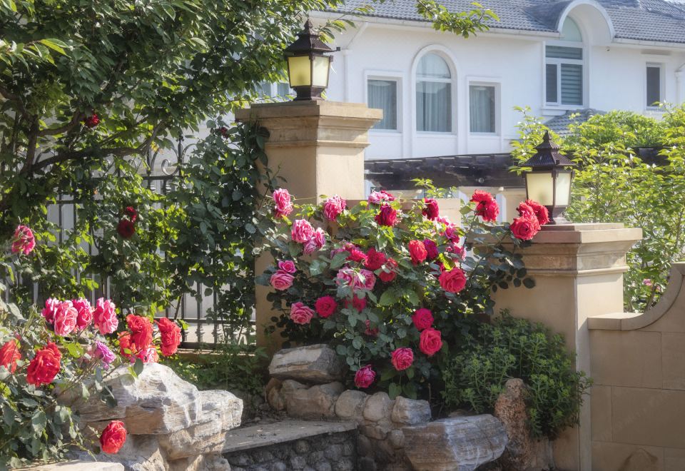 白宫（私人KTV+泳池+独立厨衞+汤泉泡池）