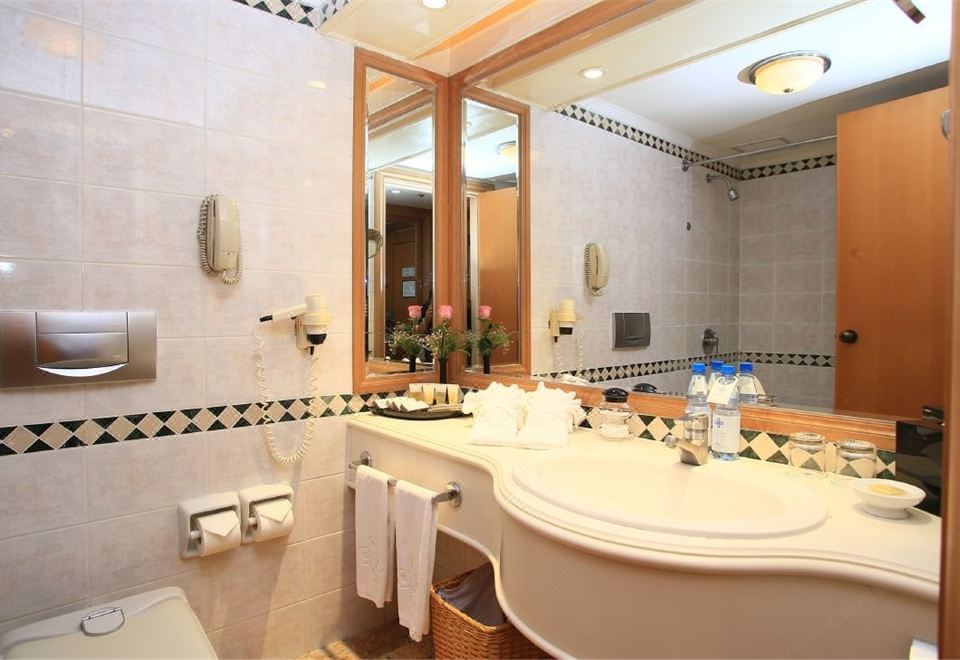 Deluxe Suite Room