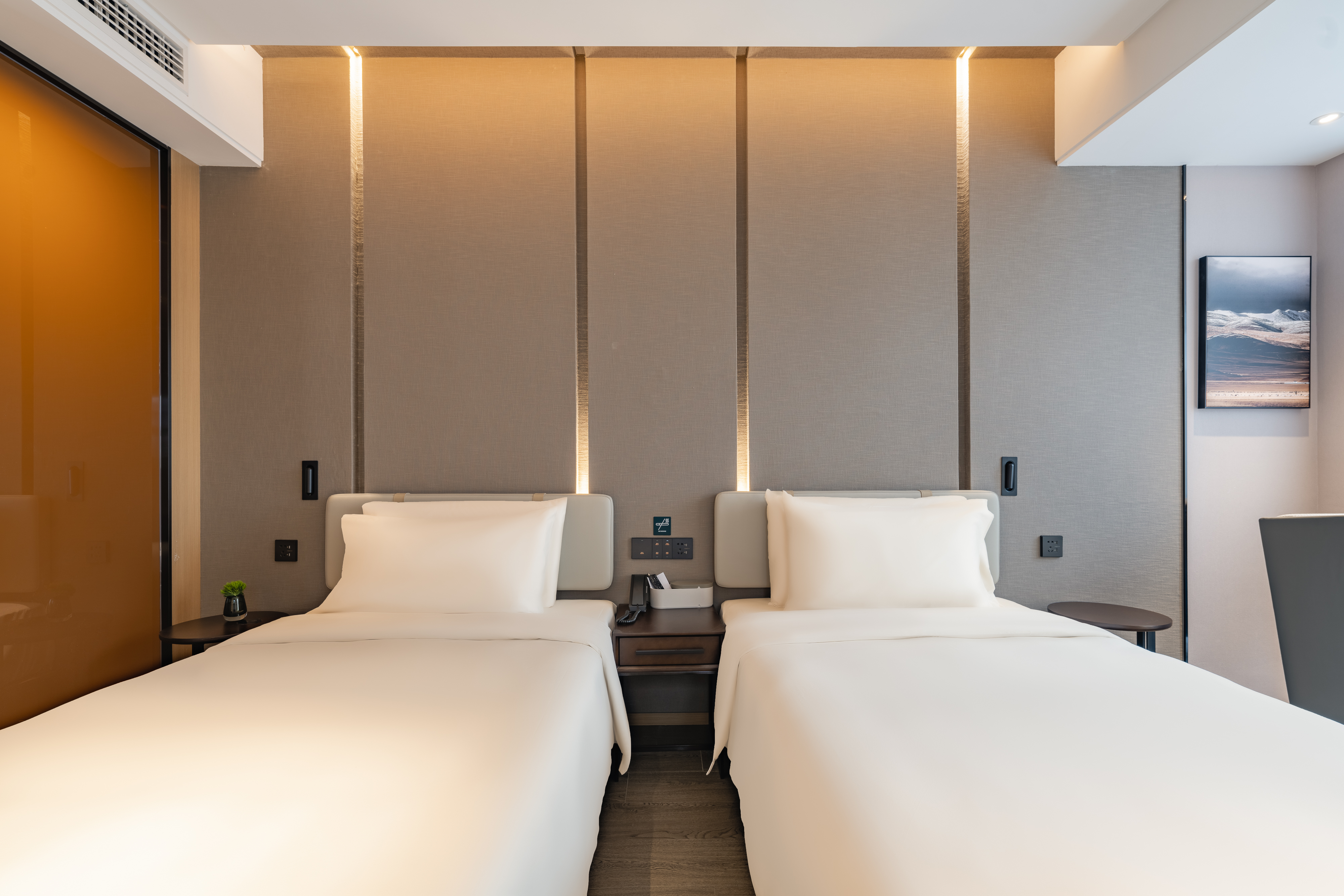 高级双床房（裸棉床品+迷你冰箱）