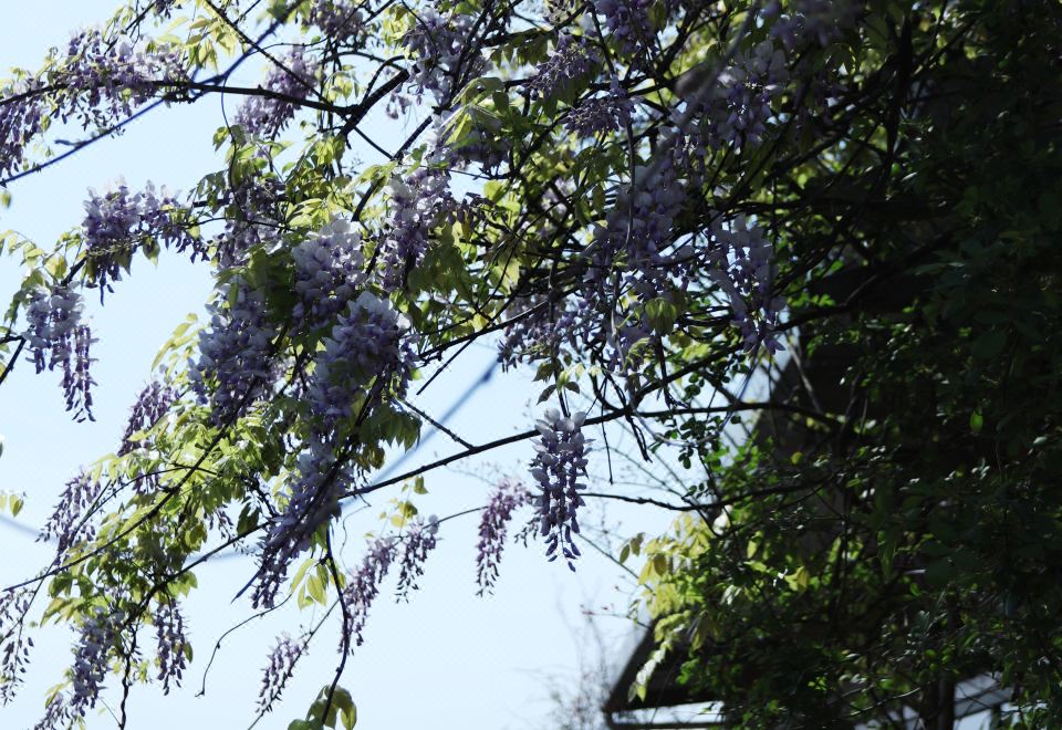 花園行政雙臥套房+2室1廳3衞+戶外露臺+宜人山色