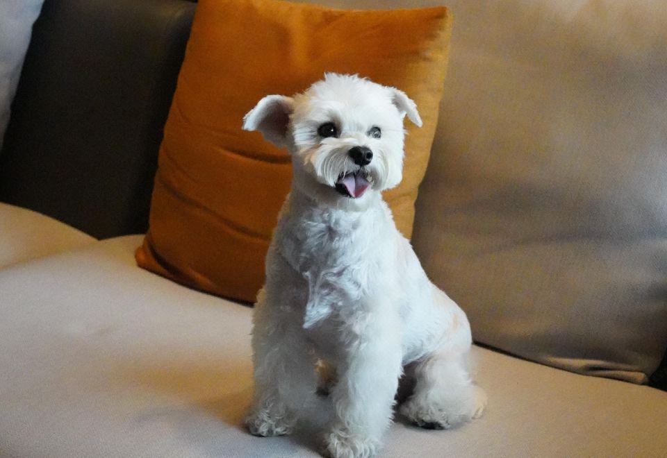 Mhub by MGM Nanjing JiangningSuite With Courtyard View