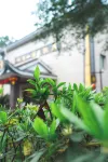 Emei Mountain Hot Spring Hotel Hotels in 