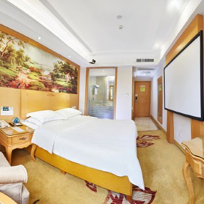 高級電影大床房 格林豪泰（深圳羅湖東門老街晒布地鐵站店）優惠