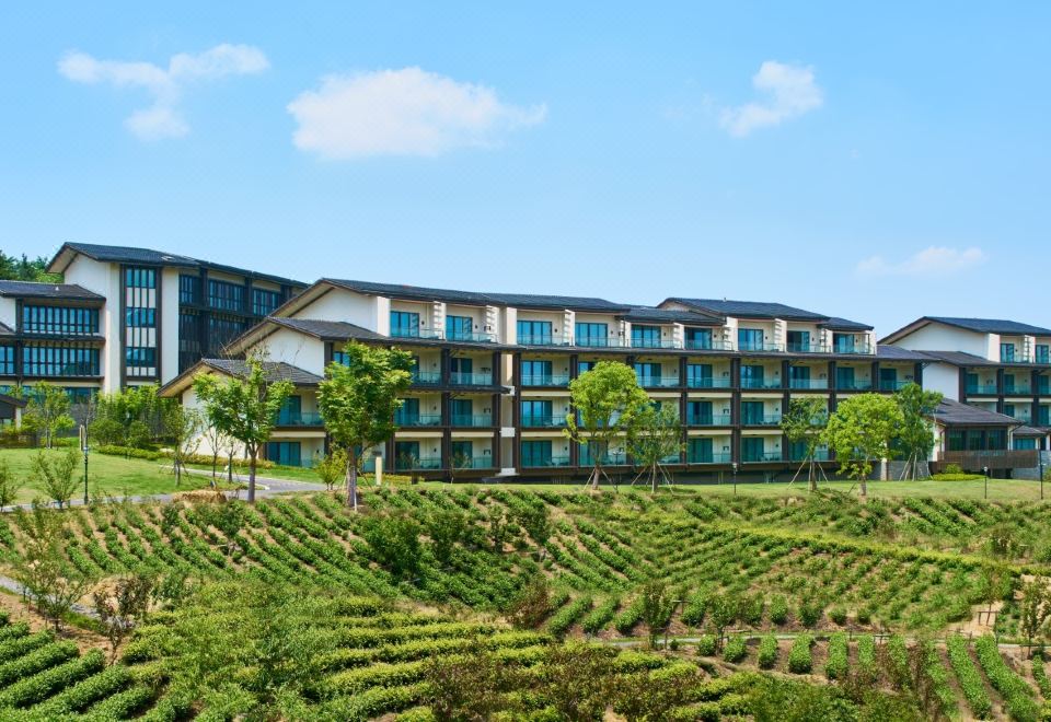 尊享豪華雙床房（茶園景觀）