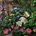 Batang Yimu Sheye Homestay