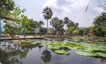 a pond with lily pads in the water , surrounded by palm trees and a house at OYO 926 Sydney Resort