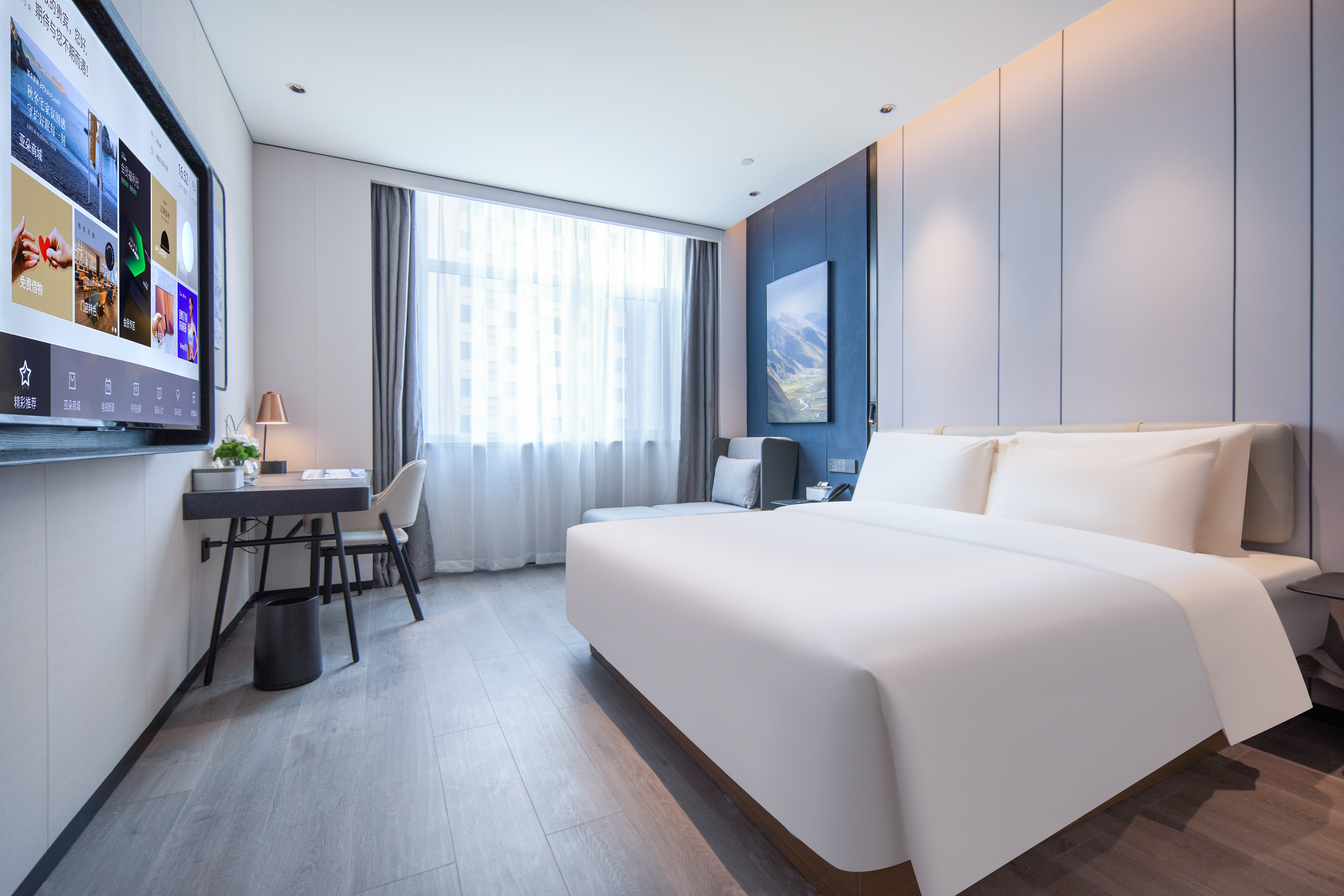 行政大床房（55寸投屏电视+迷你冰箱）