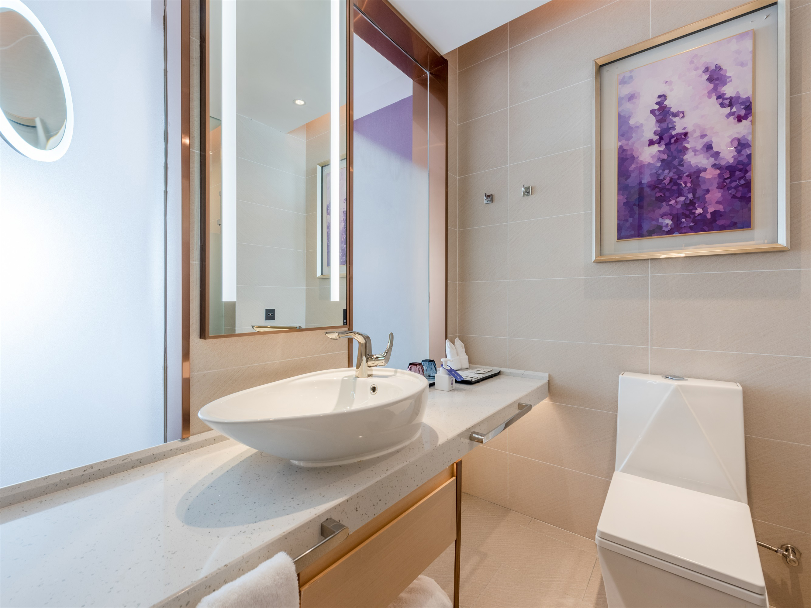 豪华智能双床房（手机投屏+蓝牙音响+舒适办公）