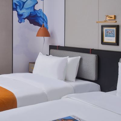 靜謐景緻雙床房 深圳寶安機場RANZ蘭茲國際飯店優惠