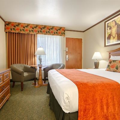 Mobility Accessible Queen Room with Roll In Shower Best Western Seven Seas Promo Code