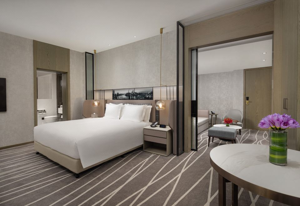 豪华套房 大床 摩登商旅