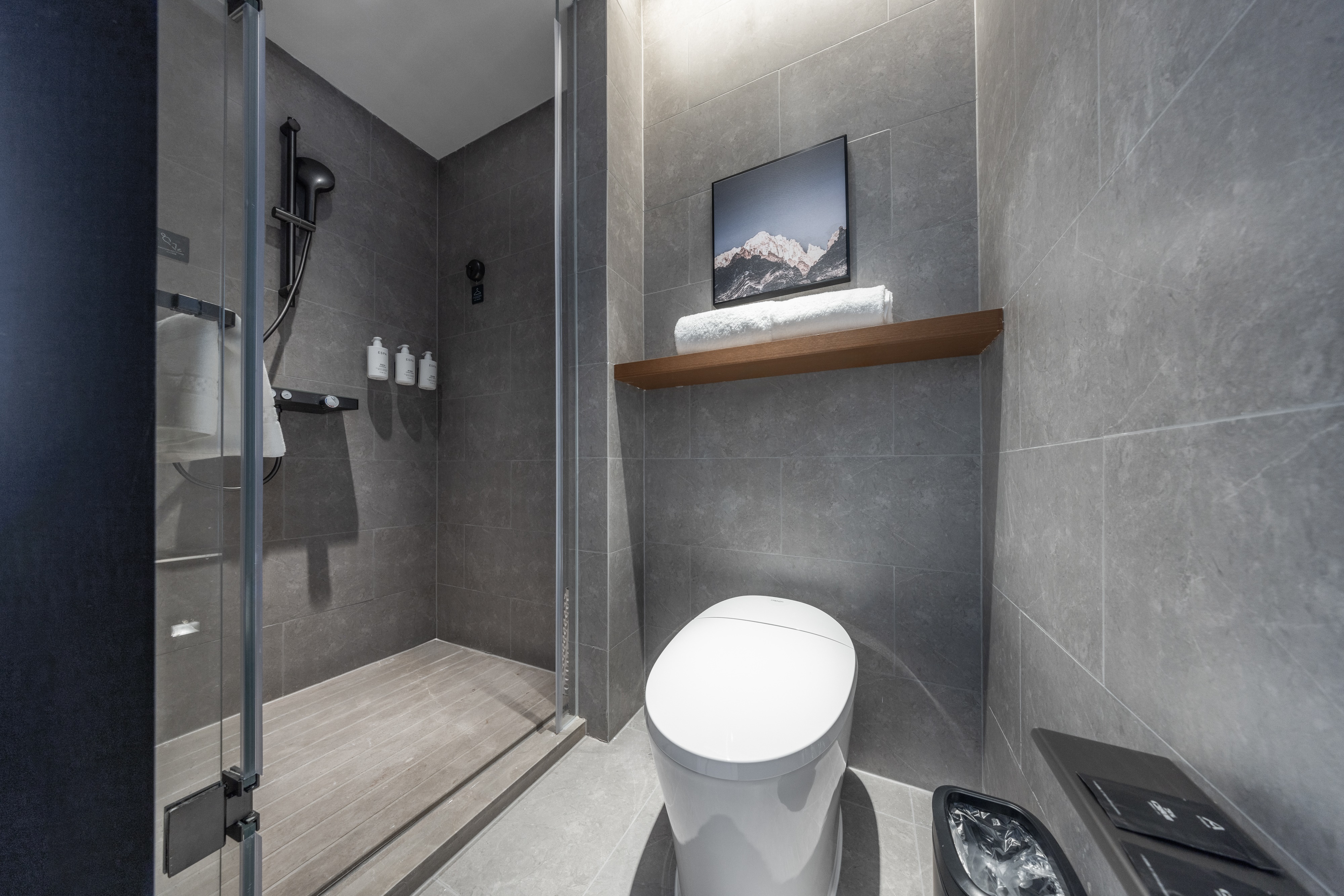 高级大床房（电视投屏+语音客控）