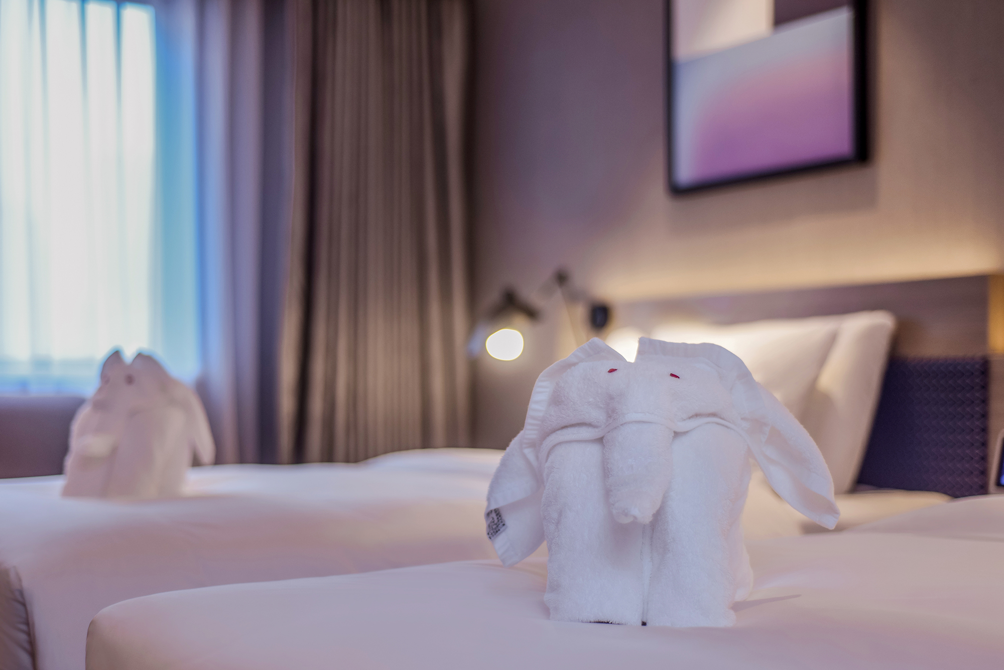 都市节奏双床房（智能客控+电视投屏+顶喷+洗衣烘乾）