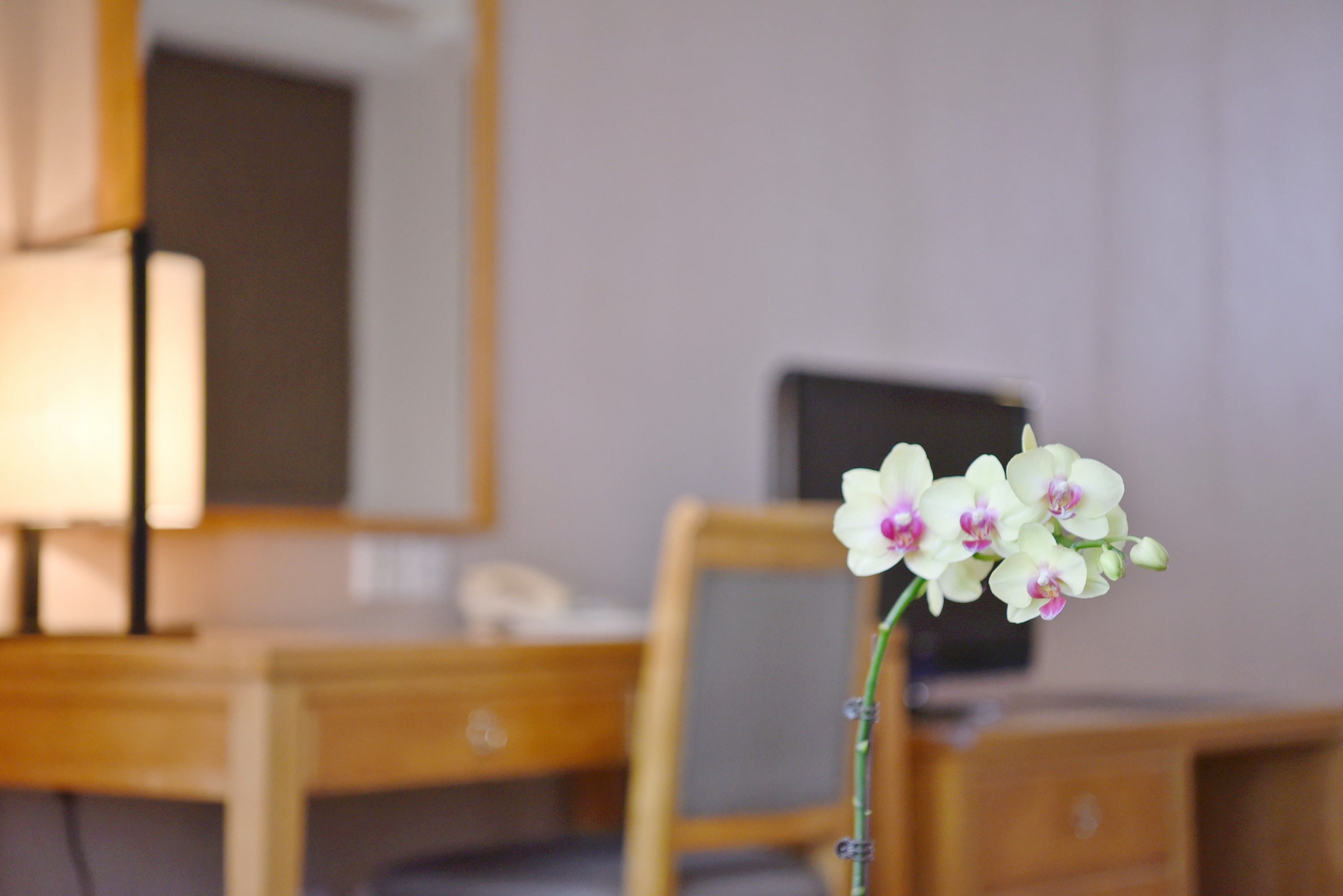 商務貴賓大床房