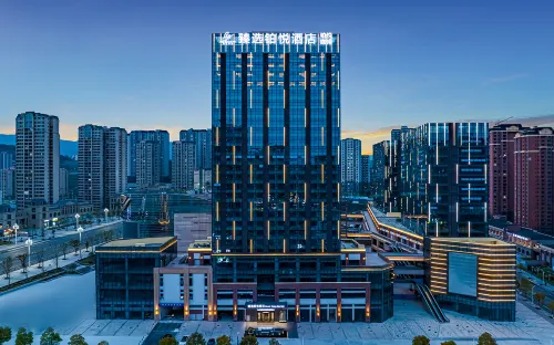 Selected Platinum Hyatt Hotel