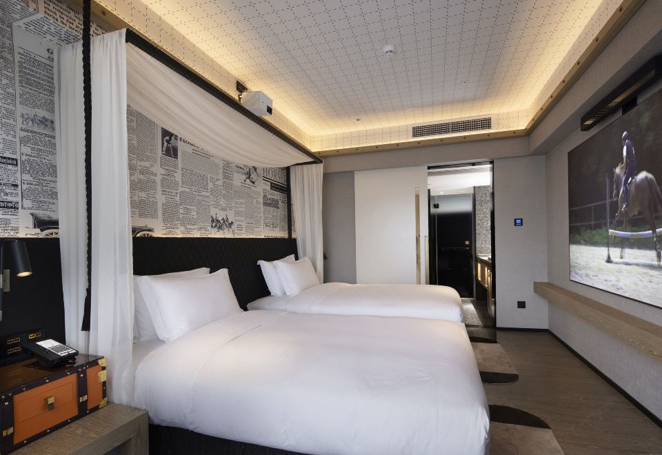 观影踏燕双床房