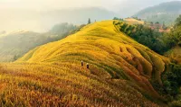 GUAN Shan Yue