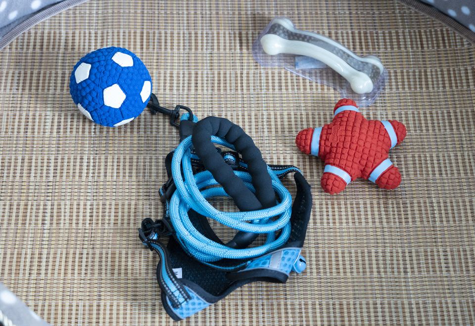 海景家庭三室寵物套房