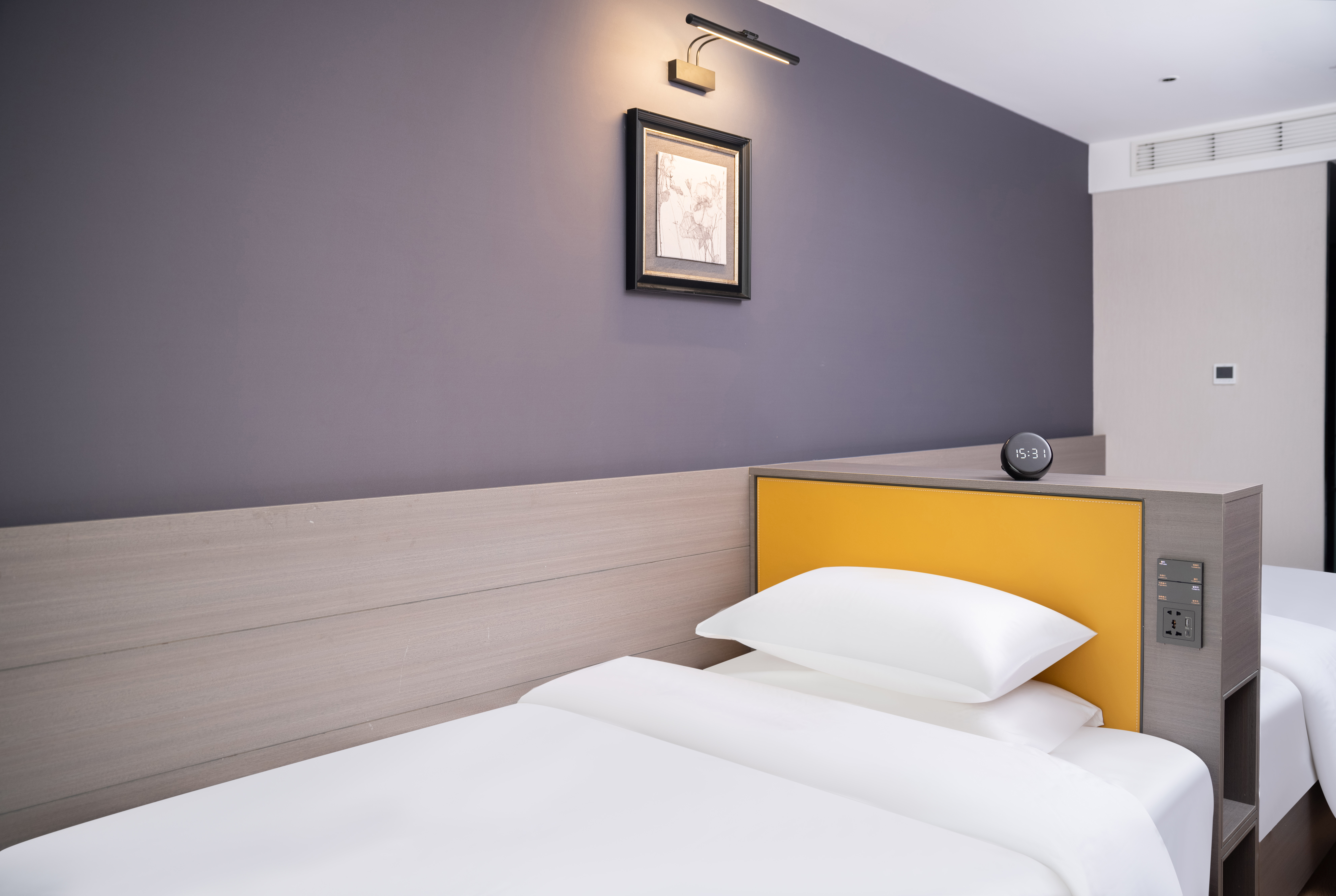 西子云端·城心静谧双床房（高清投屏电视+零压床垫+乳胶枕头+小型盆景）