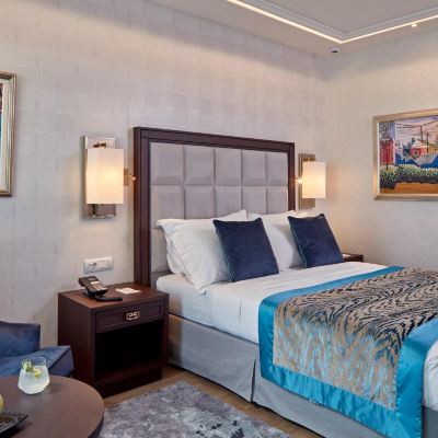 Superior Connecting Room Electra Metropolis Promo Code