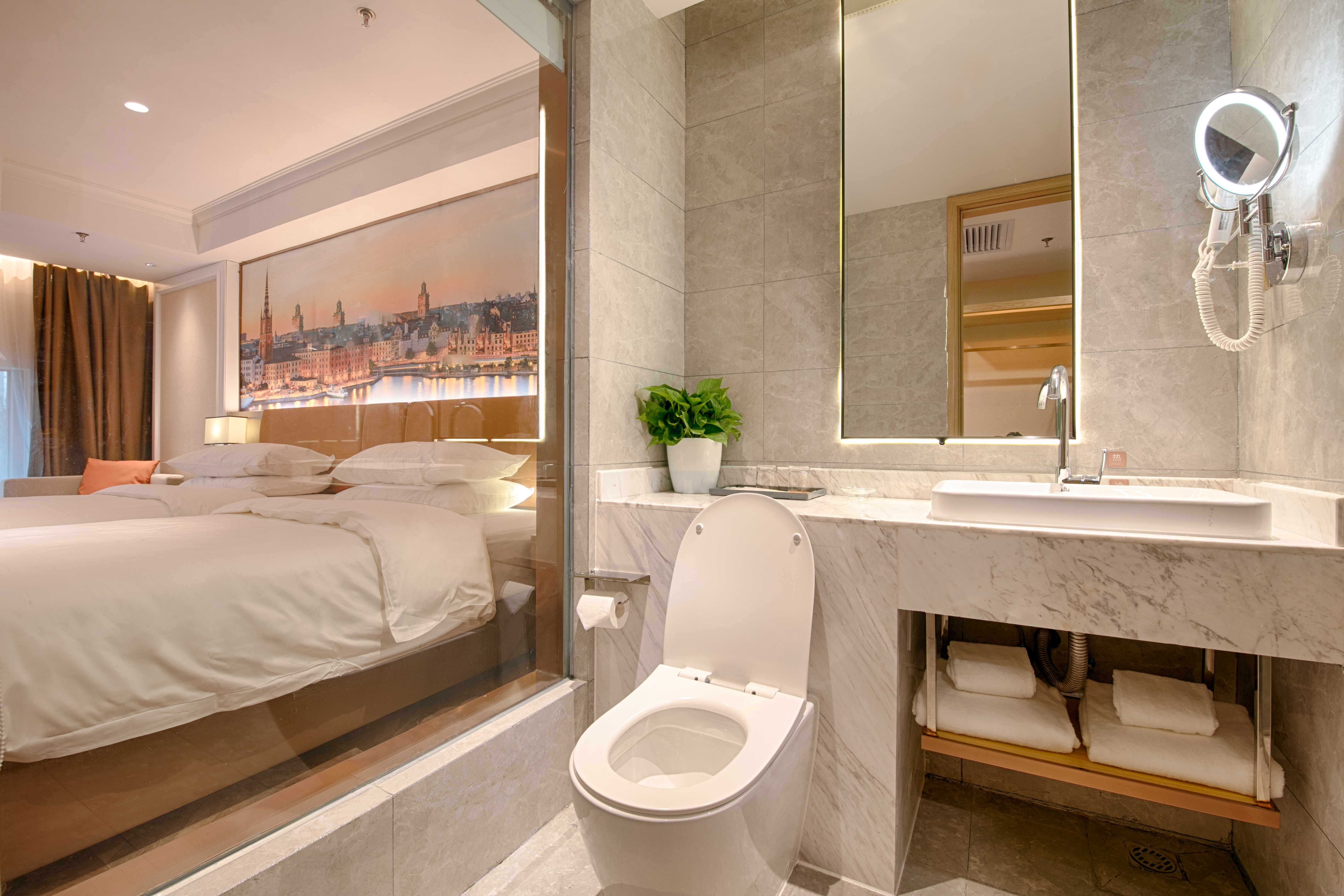 高级双床房【手机投屏+深睡床品】