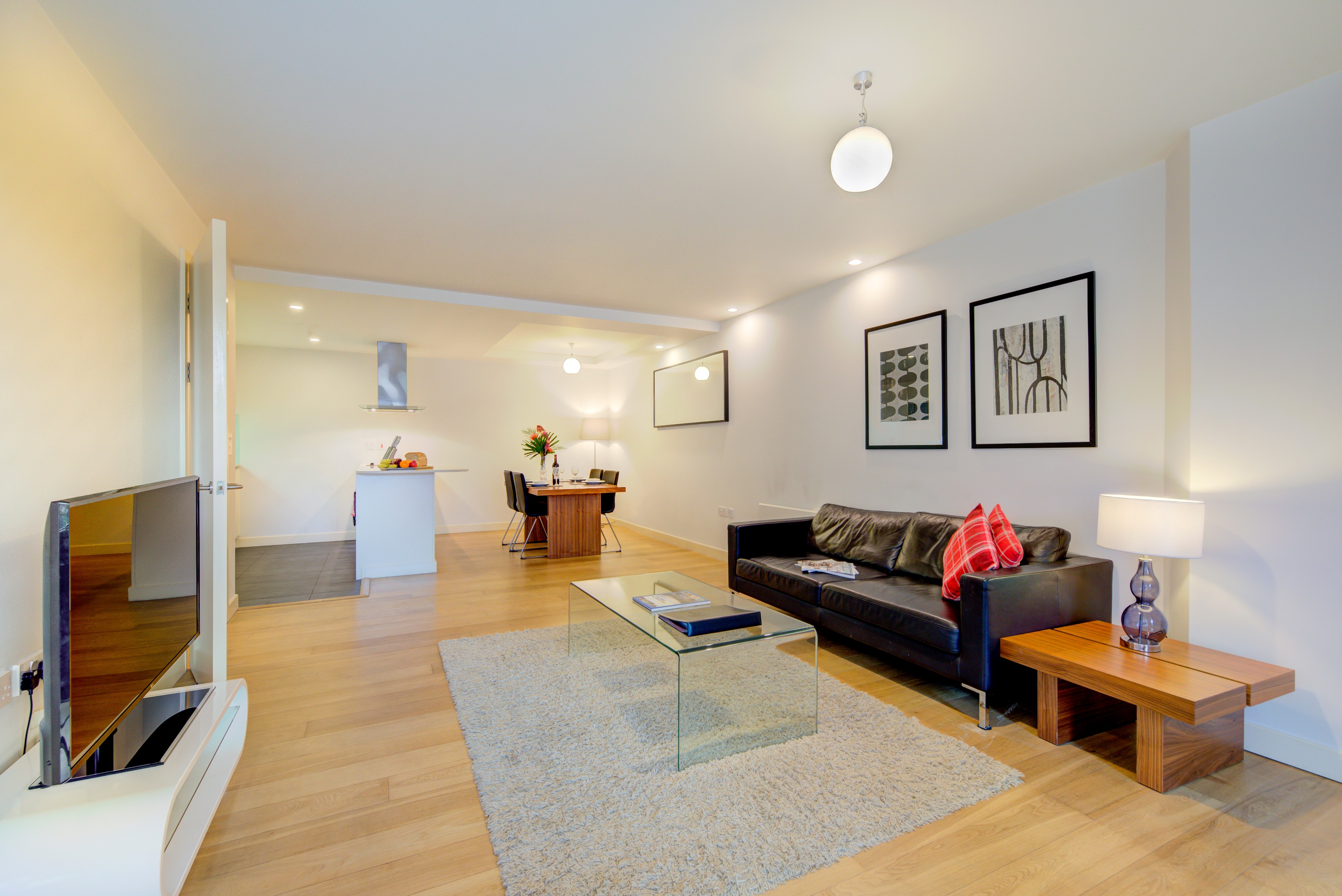 一卧室高级公寓