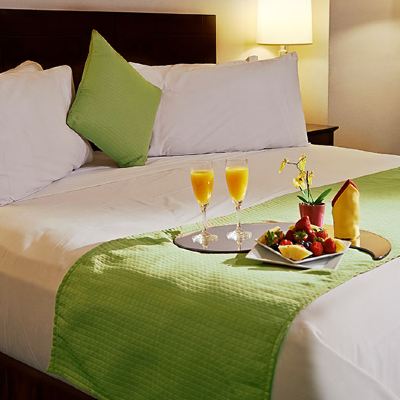 Superior King Room Miami International Airport Hotel Promo Code