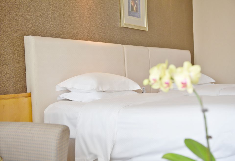 商务贵宾双床房