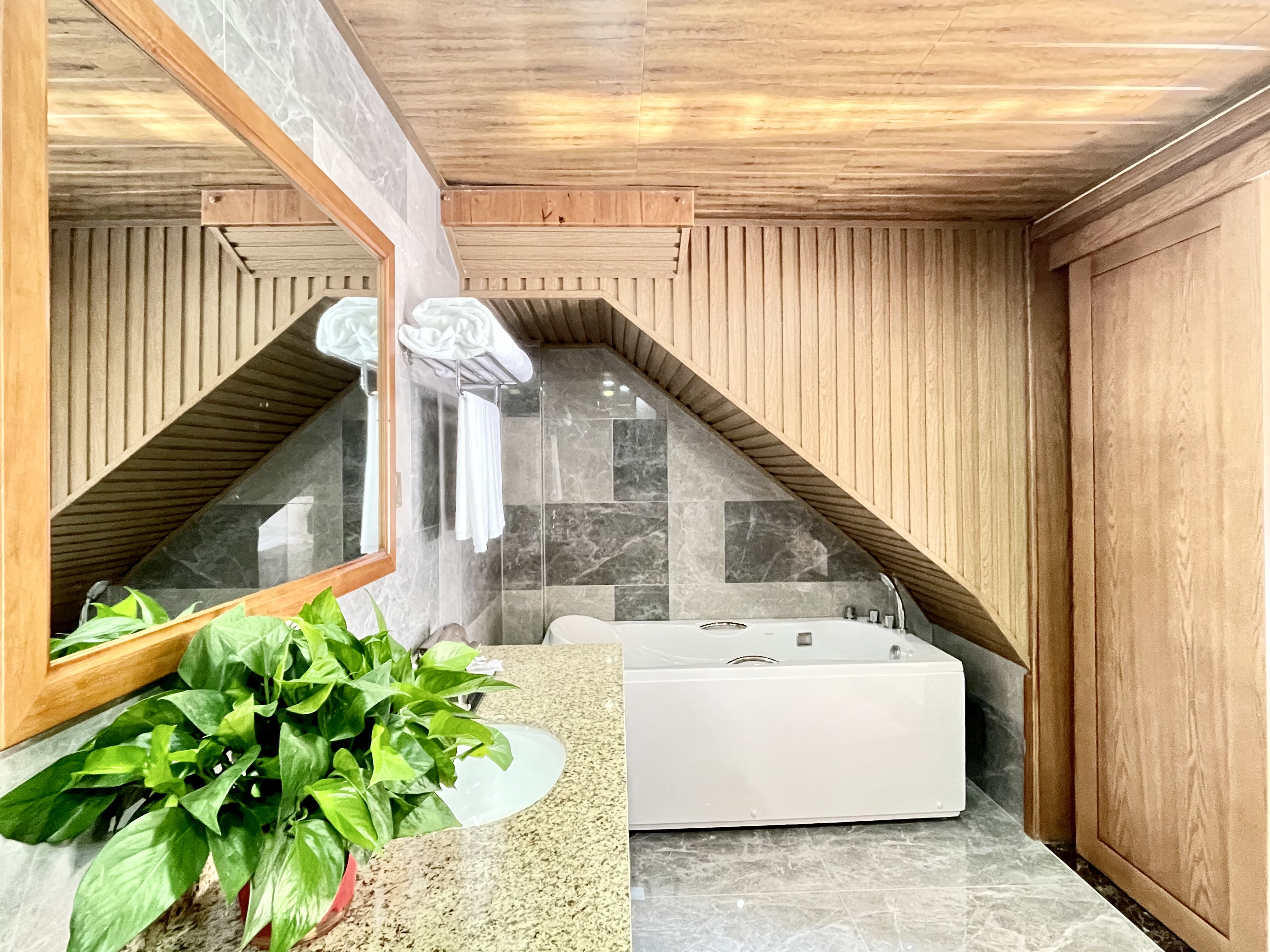 初心庭院观景房