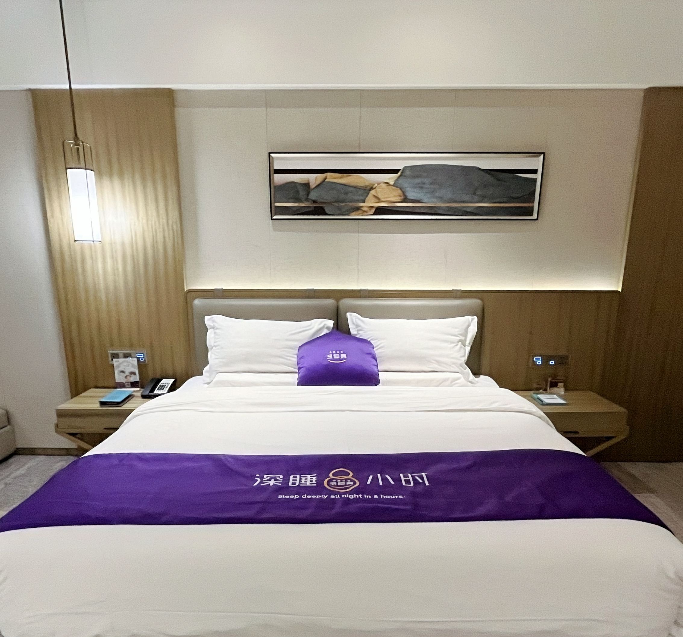 尊享深睡房（乳膠床墊+乳膠枕）