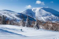 The Maples Niseko