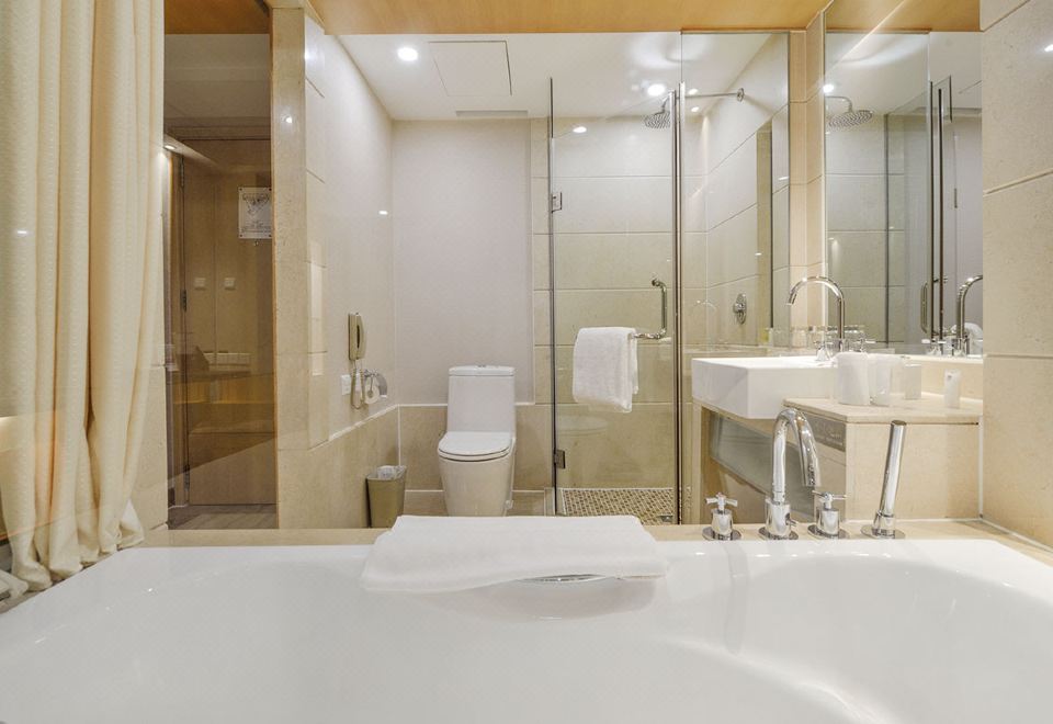 现代景·雅致双床房