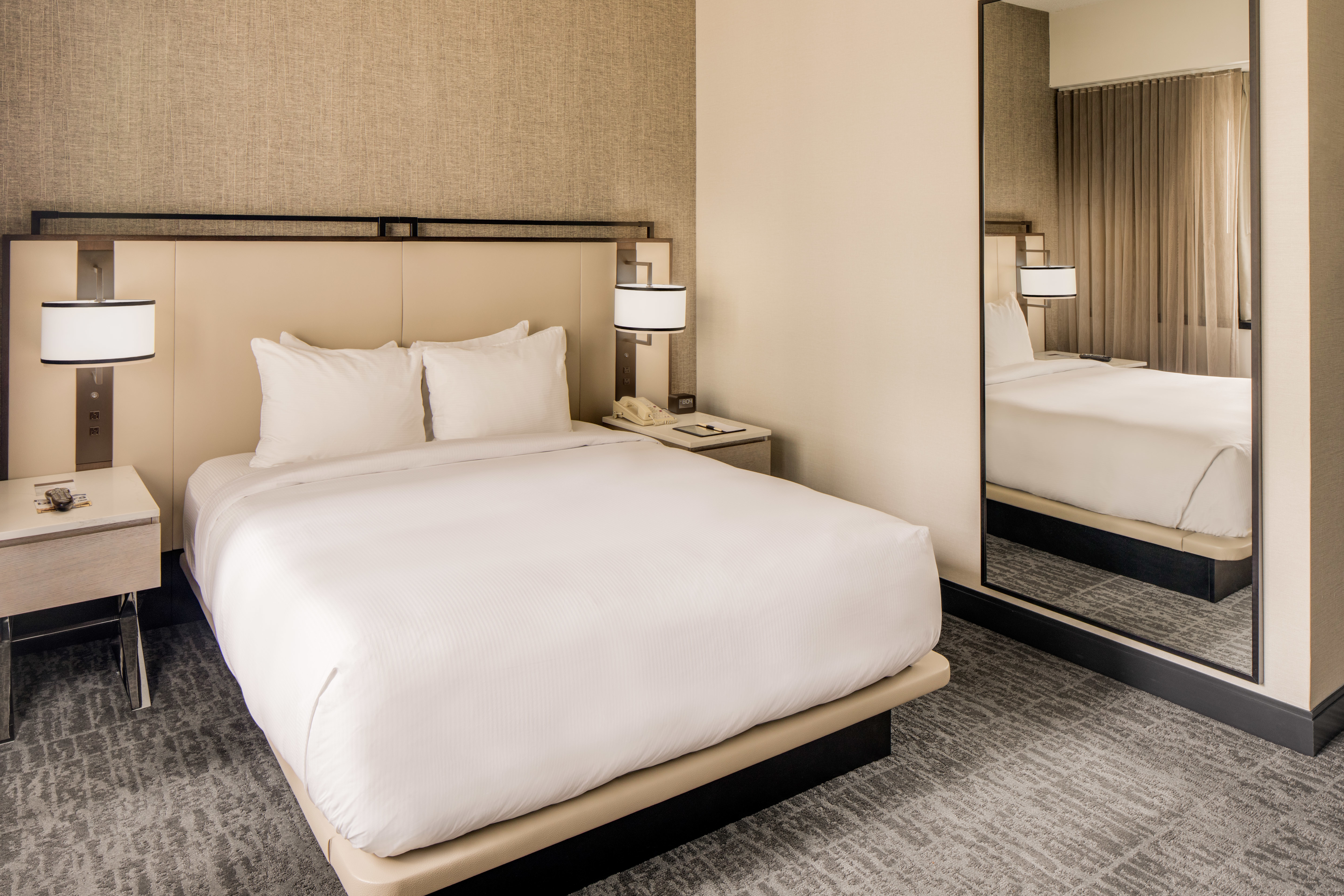 小型大床套房，配有梳化床