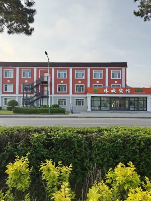 Tahe Lincheng Hotel