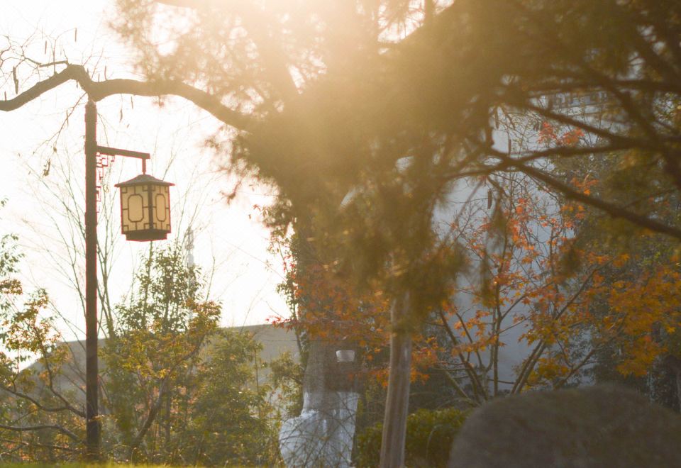 湖景一居庭院房