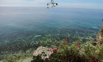a view of the ocean from a cliff , with plants and flowers on the ledge at Antulang Beach Resort