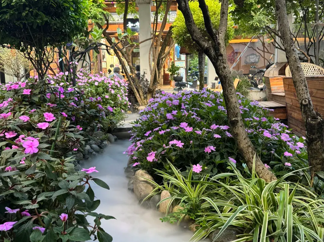 Dali Ancient City Four Seasons Homestay - Dali