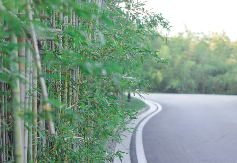 湖景一居庭院房