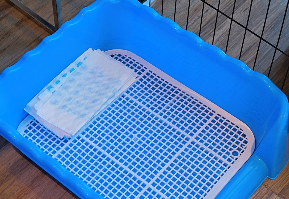 宠物乐享双床房